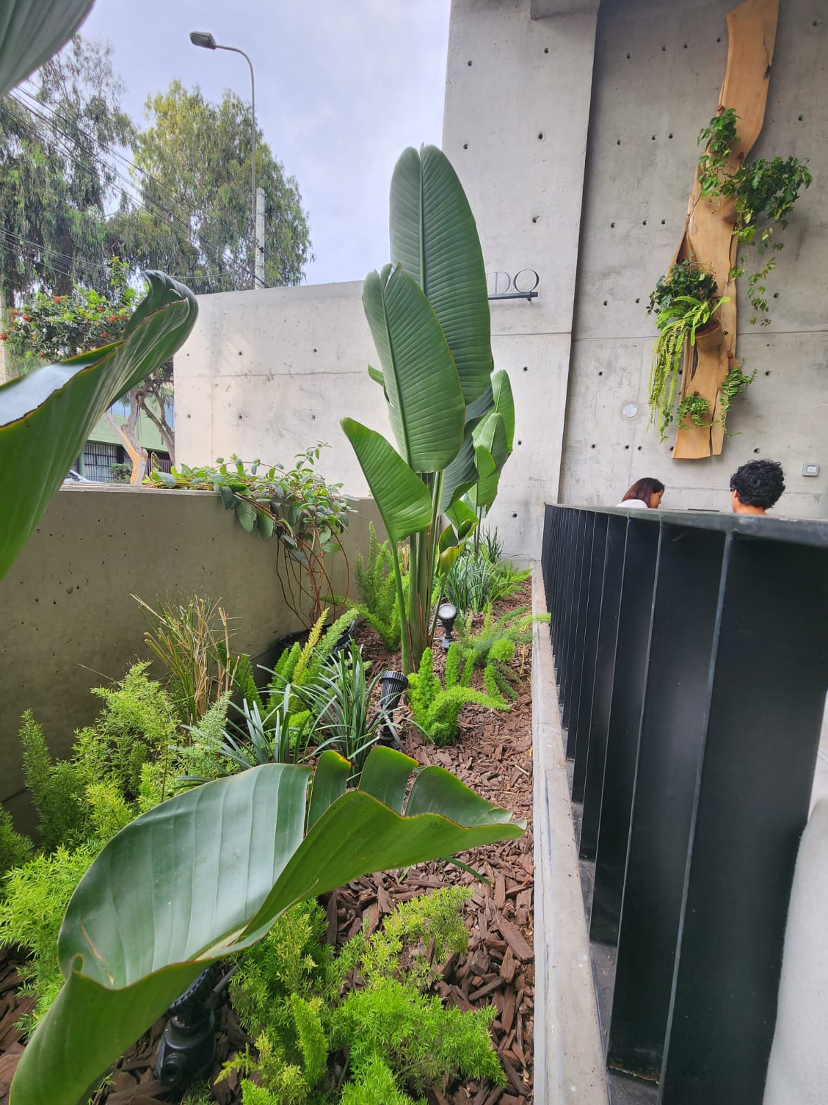 Proyecto Cafetería Ondo