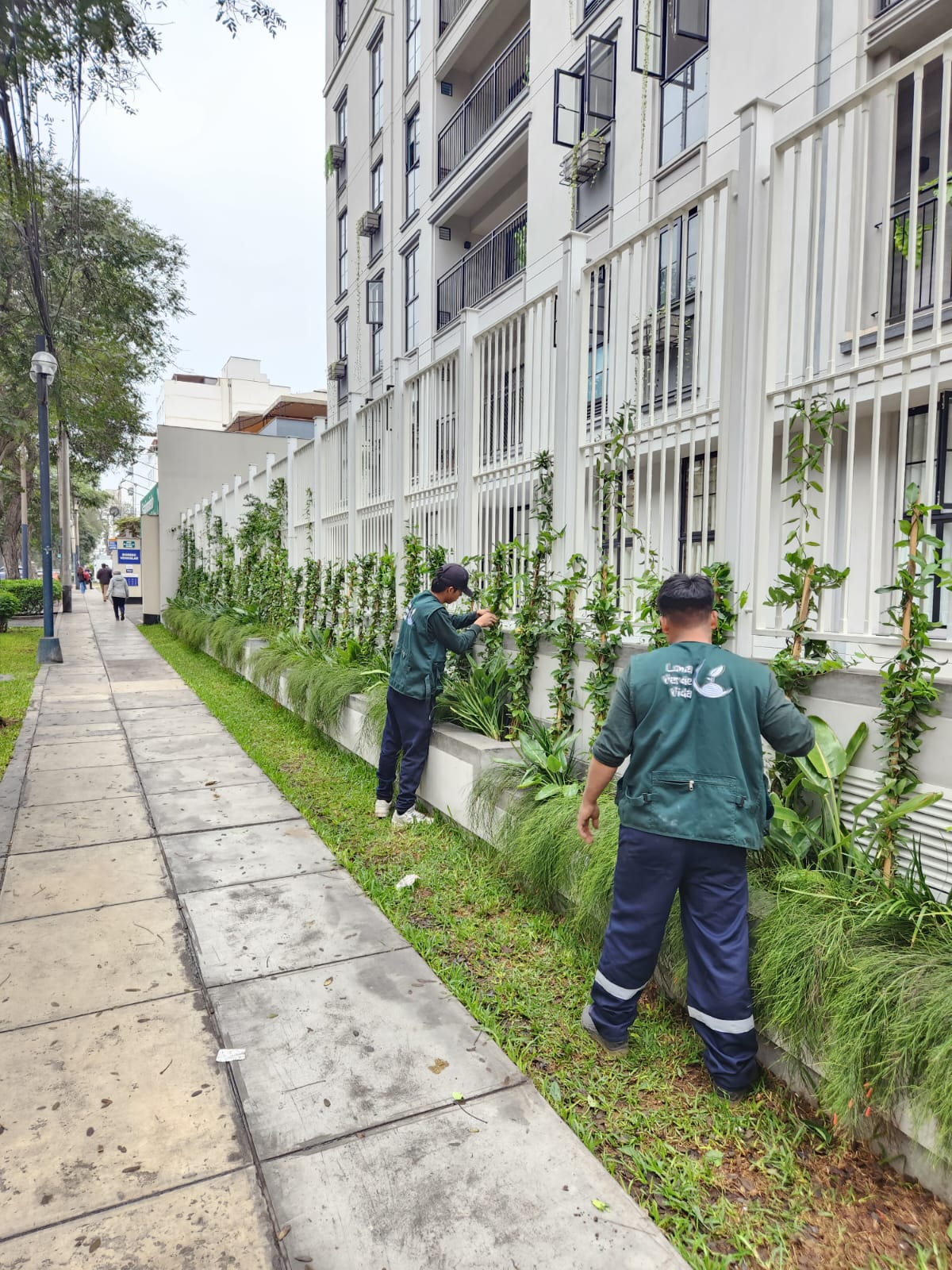 Proyecto Condominio Clau