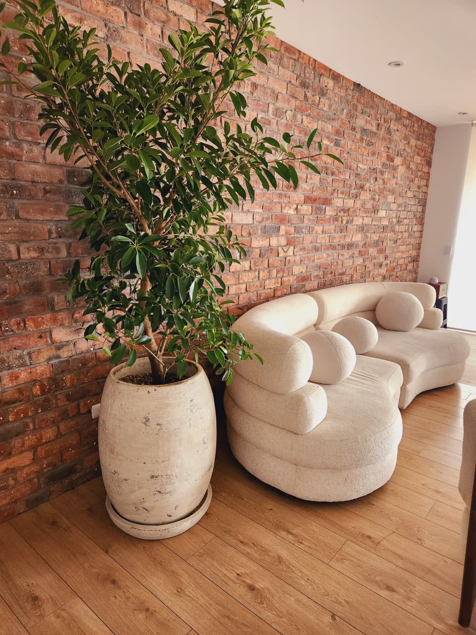 Proyecto Estudio de Arquitectos