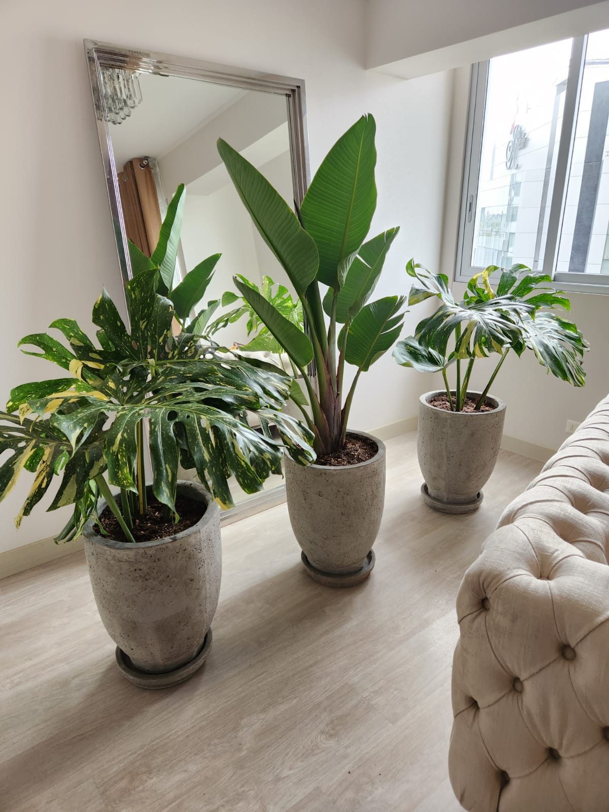 Proyecto Estudio de Arquitecto