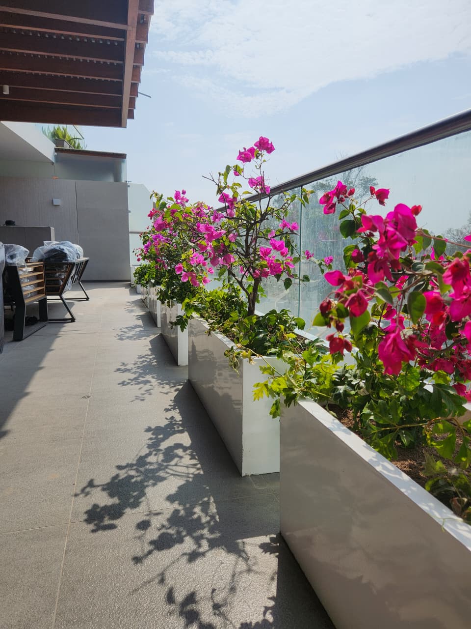 Proyecto HOLZ Arquitectura