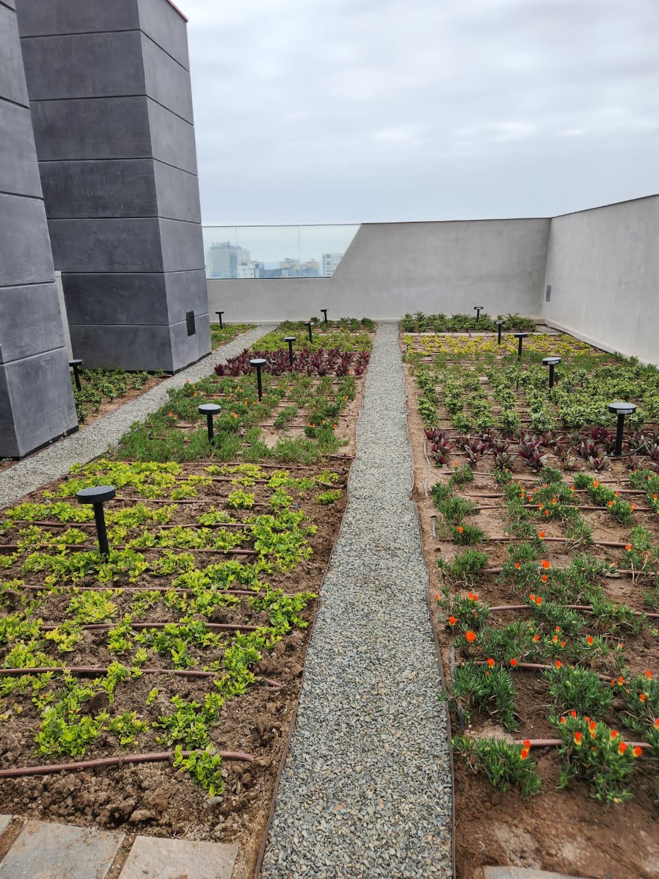 Proyecto Edificio Larco