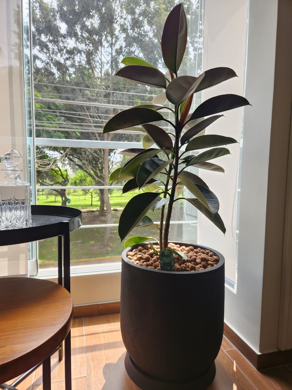 Proyecto Estudio Pietadesingstudio