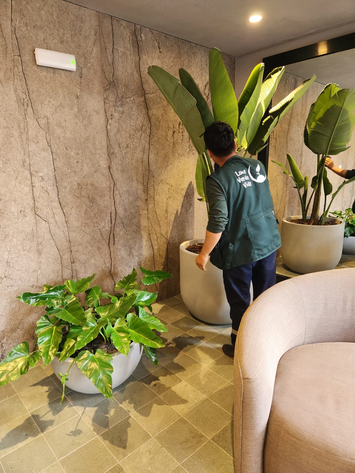 Proyecto Soho Select