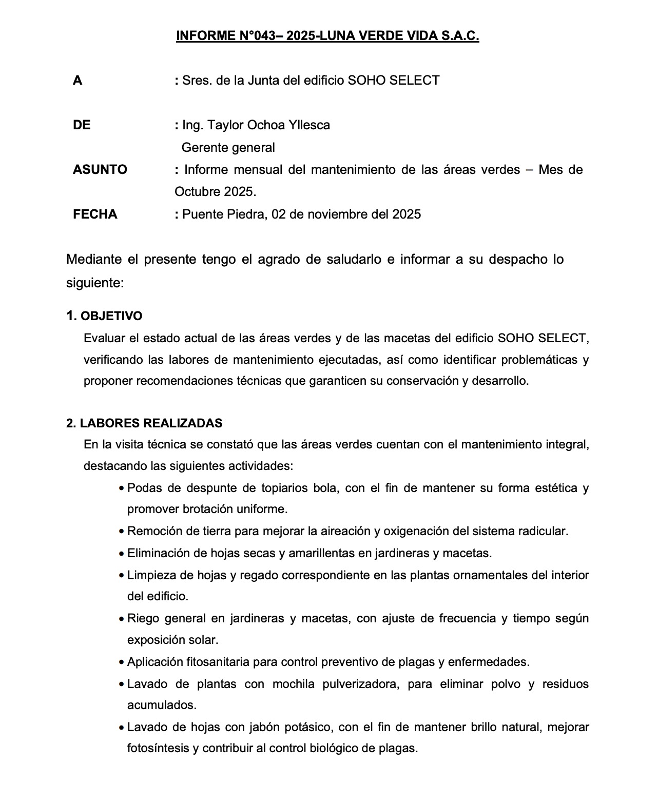 Ejemplo de informe mensual Luna Verde Vida - 1